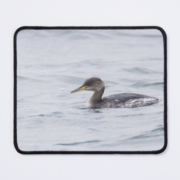Item preview, Red Necked Grebe designed and sold by LaurenTucker.