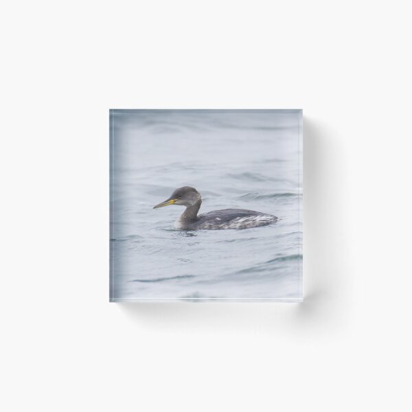 Item preview, Red Necked Grebe designed and sold by LaurenTucker.