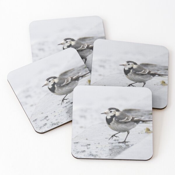 Item preview, Pied Wagtail designed and sold by LaurenTucker.