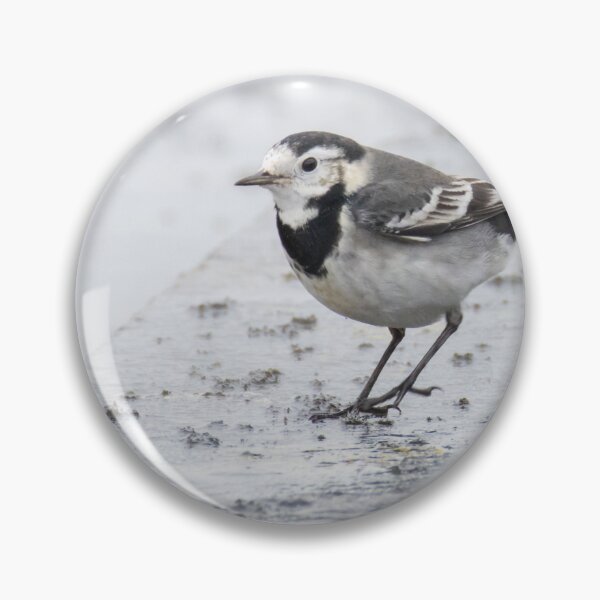 Item preview, Pied Wagtail designed and sold by LaurenTucker.
