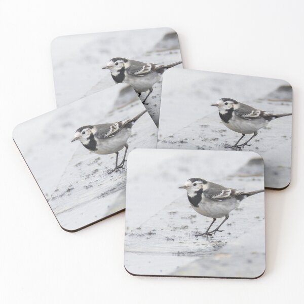 Item preview, Pied Wagtail designed and sold by LaurenTucker.