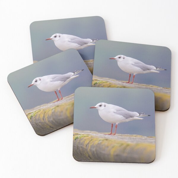 Item preview, Black Headed Gull designed and sold by LaurenTucker.