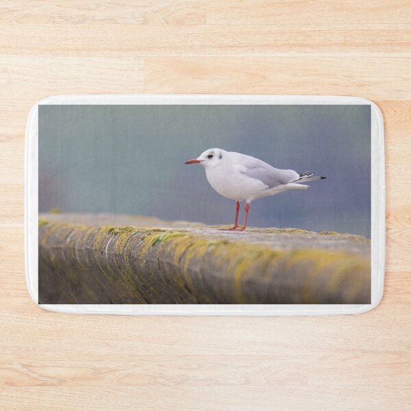 Item preview, Black Headed Gull designed and sold by LaurenTucker.