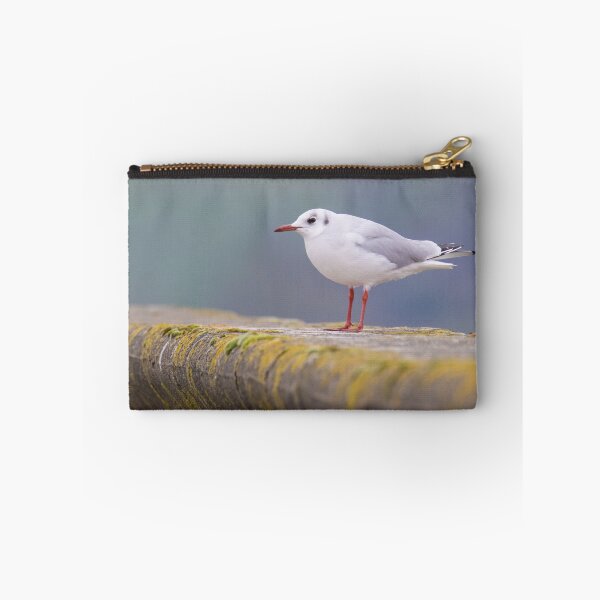 Item preview, Black Headed Gull designed and sold by LaurenTucker.