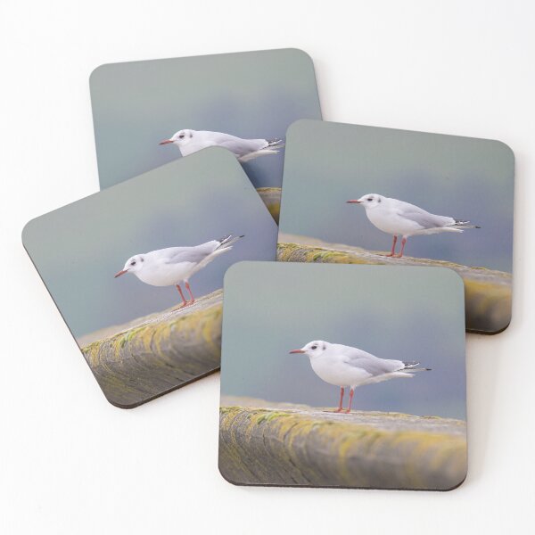 Item preview, Black Headed Gull designed and sold by LaurenTucker.