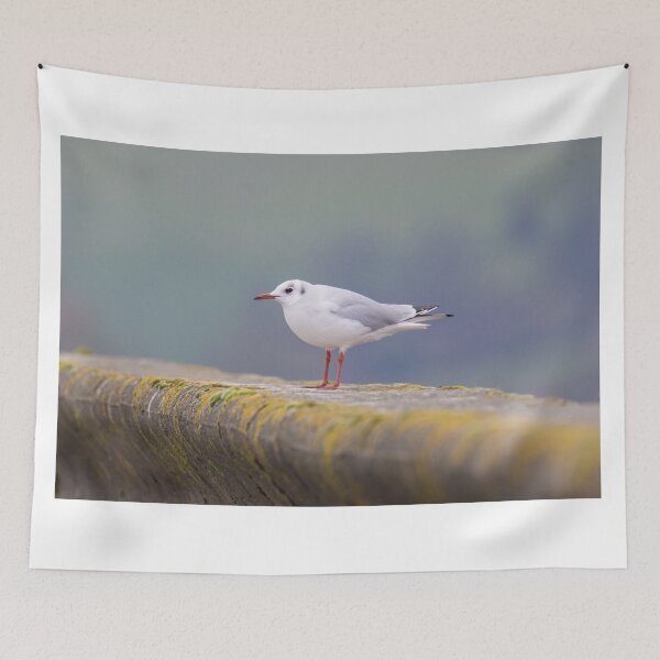 Item preview, Black Headed Gull designed and sold by LaurenTucker.