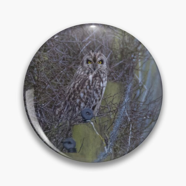 Item preview, Short Eared Owl designed and sold by LaurenTucker.