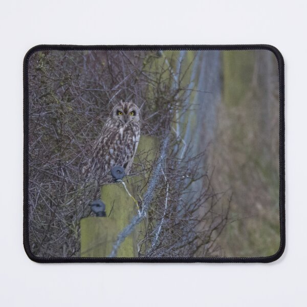 Item preview, Short Eared Owl designed and sold by LaurenTucker.