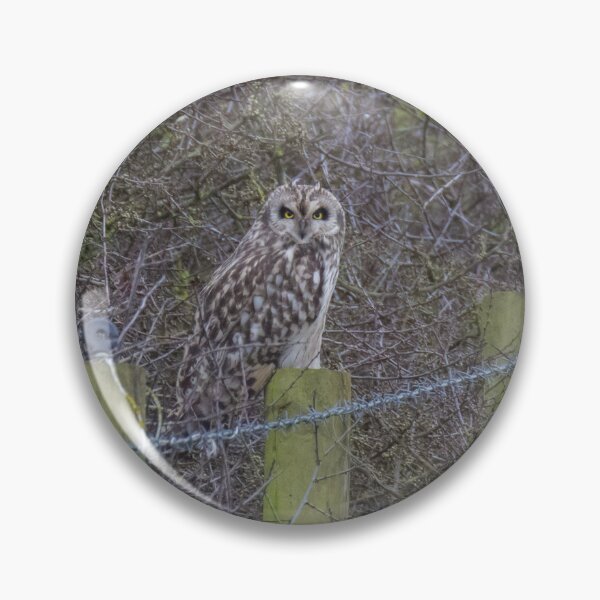 Item preview, Short Eared Owl designed and sold by LaurenTucker.
