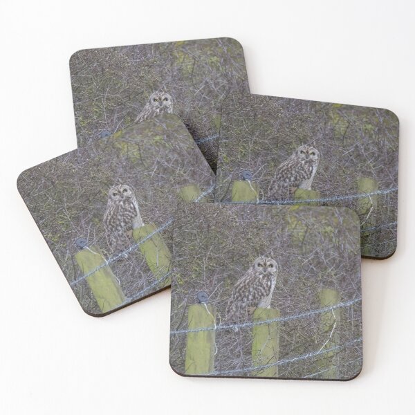 Item preview, Short Eared Owl designed and sold by LaurenTucker.