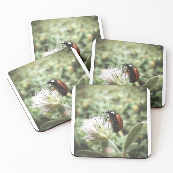Item preview, Ladybug on Soft Wildflower – Macro Nature Photography designed and sold by Sarah – Fine Art & Photography.