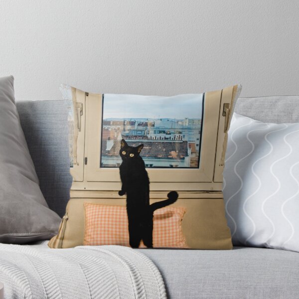 Item preview, Paris Cat designed and sold by John Englezos.