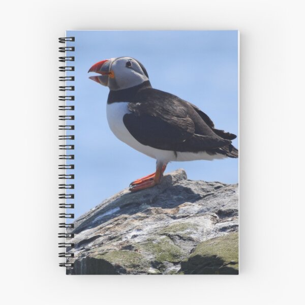 Item preview, Puffin designed and sold by Rob Parsons (Just a Walker with a Camera).
