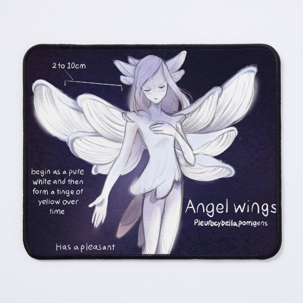 Item preview, Funguary: Angel Wings Mushroom  designed and sold by TheMeltingMoon.