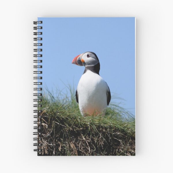Item preview, Puffin designed and sold by Rob Parsons (Just a Walker with a Camera).