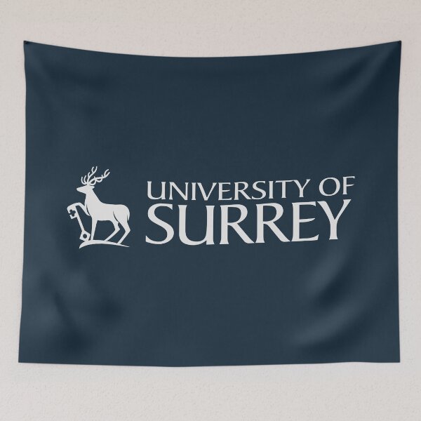 Item preview, Spaghetti University Of Surrey aBowl Love designed and sold by Khaactorwriter.