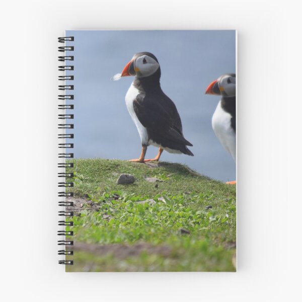 Item preview, Puffins designed and sold by Rob Parsons (Just a Walker with a Camera).