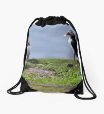 Puffins Drawstring Bag