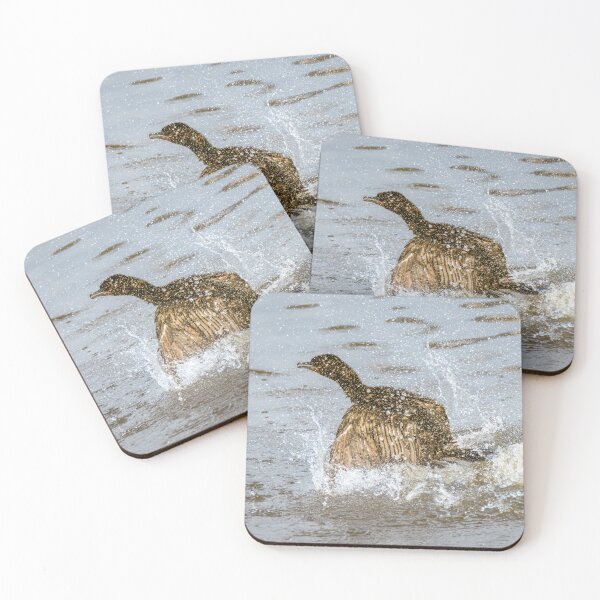Item preview, Cormorant Splashing in the Water designed and sold by Debra Martz.
