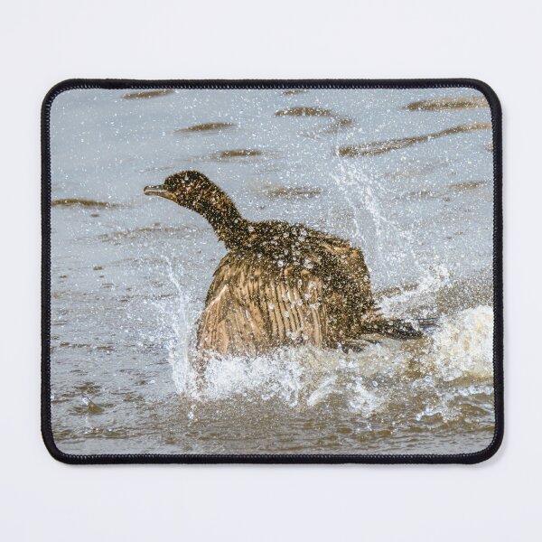 Item preview, Cormorant Splashing in the Water designed and sold by Debra Martz.