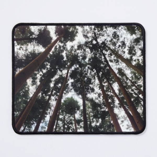 Item preview, Cathedral of Trees designed and sold by Drawn2EachOther.