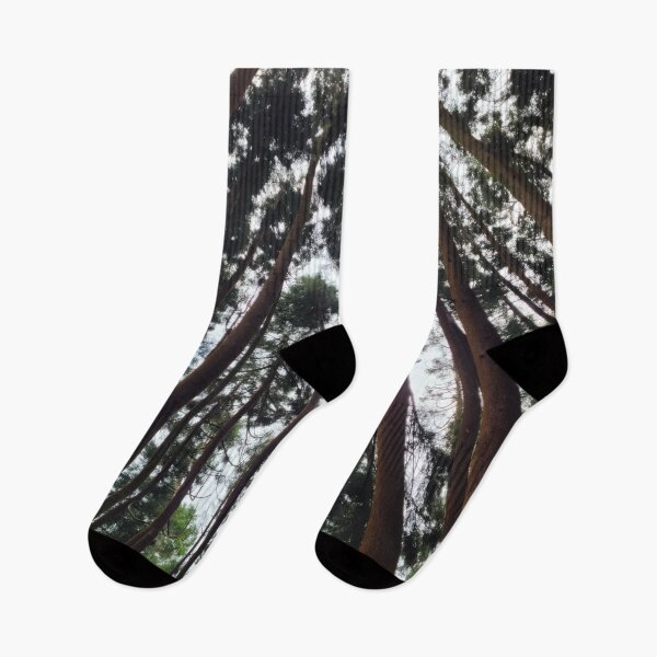 Item preview, Cathedral of Trees designed and sold by Drawn2EachOther.