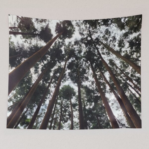 Item preview, Cathedral of Trees designed and sold by Drawn2EachOther.