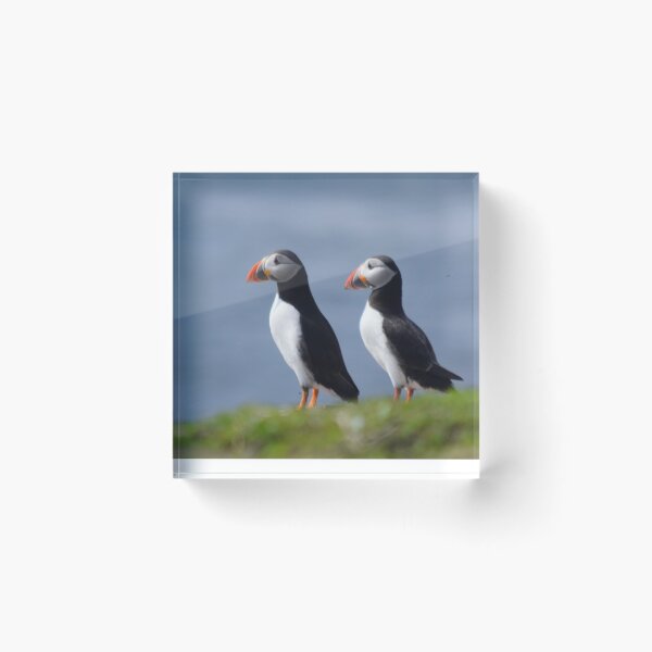Item preview, Puffins designed and sold by Rob Parsons (Just a Walker with a Camera).