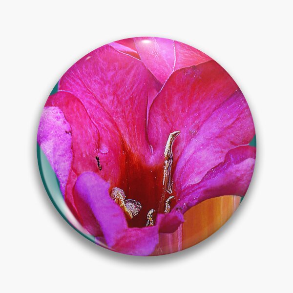 Item preview, Trumpet Vine designed and sold by Armadillo222.