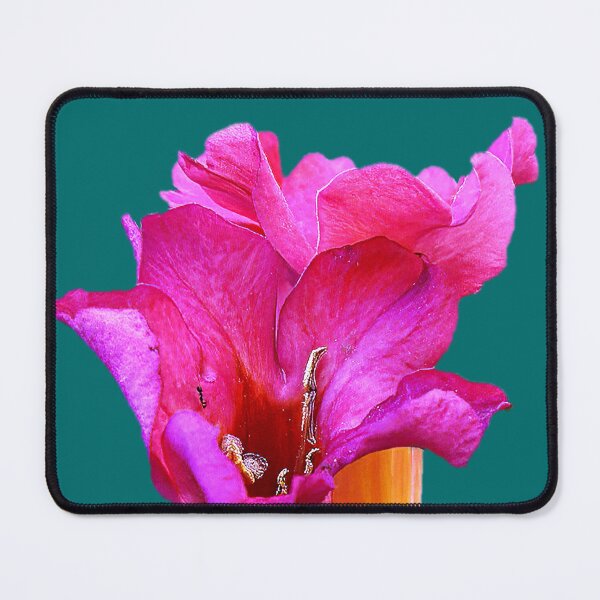 Item preview, Trumpet Vine designed and sold by Armadillo222.