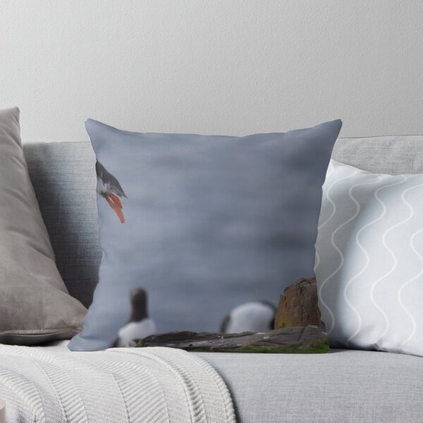 Item preview, Puffin Taking Off designed and sold by Rob Parsons (Just a Walker with a Camera).
