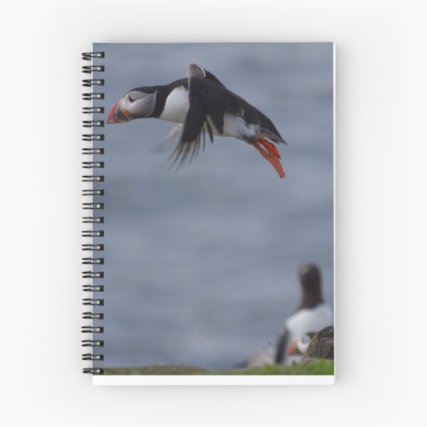 Item preview, Puffin Taking Off designed and sold by Rob Parsons (Just a Walker with a Camera).