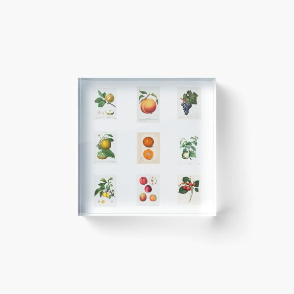 Item preview, Retro Kitchen   designed and sold by Inspirationmotivation.