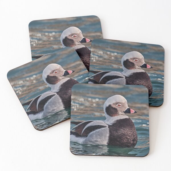 Item preview, The long-tailed Duck  designed and sold by Tom McPherson Photography.