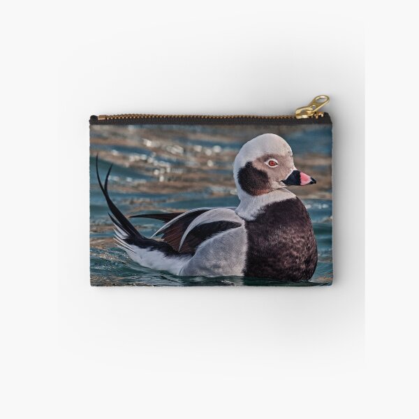 Item preview, The long-tailed Duck  designed and sold by Tom McPherson Photography.