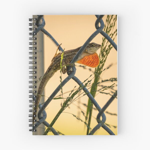Item preview, Lizard Perched on Chain-Link Fence designed and sold by Debra Martz.