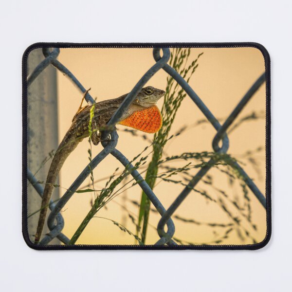 Item preview, Lizard Perched on Chain-Link Fence designed and sold by Debra Martz.