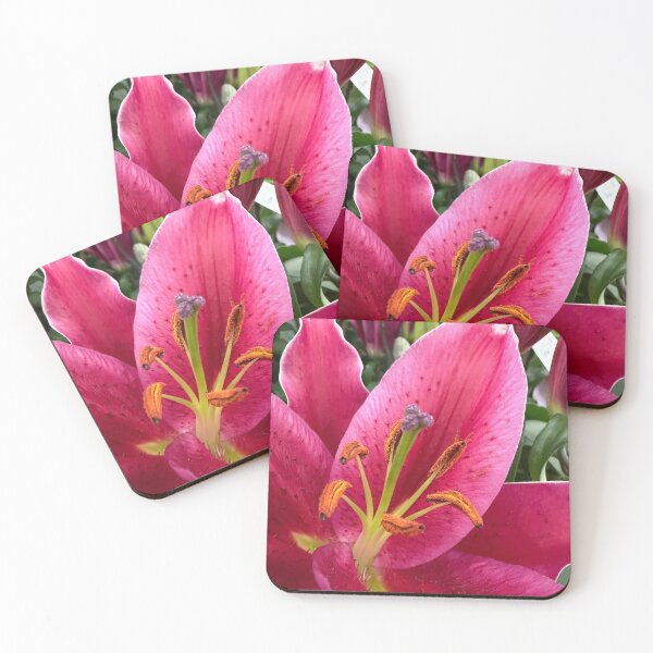 Item preview, Pink lily  designed and sold by Betsy Phillips.