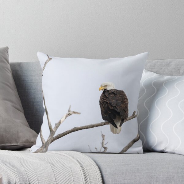 Item preview, High Key Bald Eagle 2-19-2026 designed and sold by Thomasyoung.