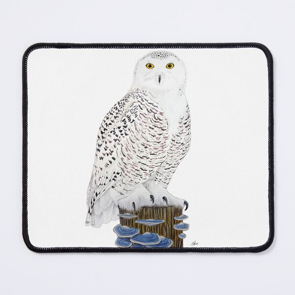 Item preview, Snowy Owl designed and sold by Joe Richichi.