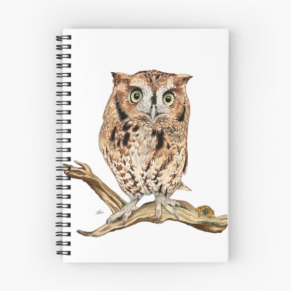 Item preview, Eastern Screech Owl designed and sold by Joe Richichi.