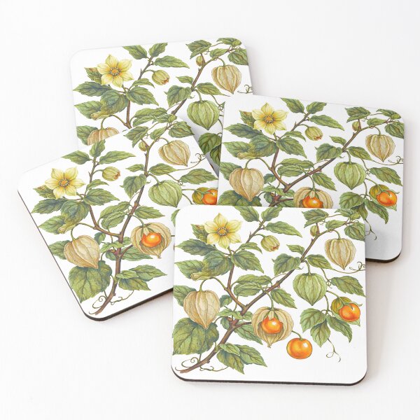 Item preview, Botanical Illustration of the Physalis Aguaymanto designed and sold by Yanay Designs.