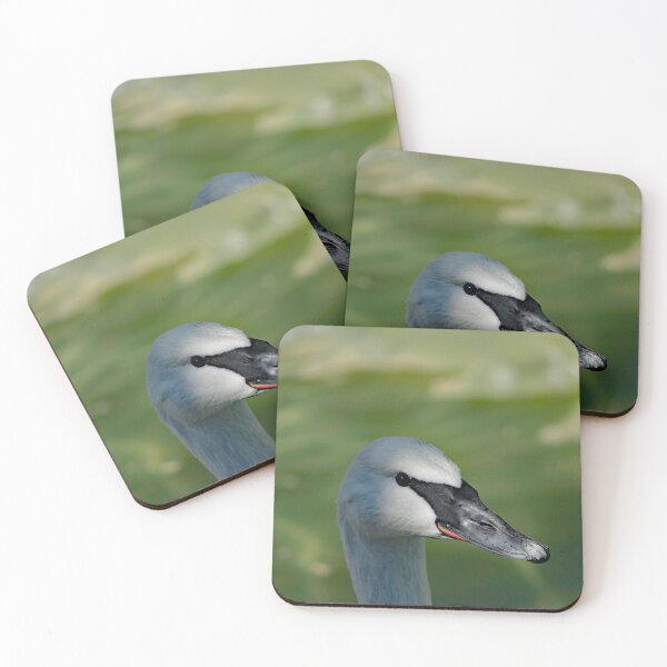 Item preview, Los Angeles Zoo  designed and sold by supernova23.