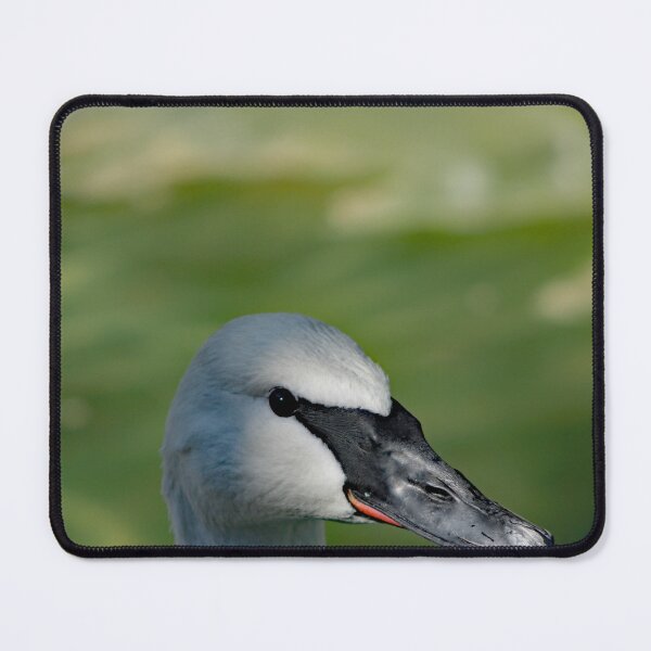 Item preview, Los Angeles Zoo  designed and sold by supernova23.