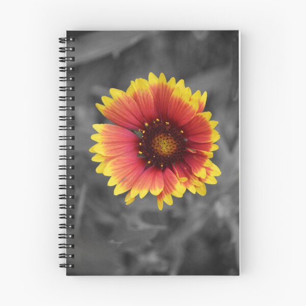Item preview, Vibrant Red and Yellow Gaillardia Blanket Flower - Color Splash designed and sold by Blossom-Breeze.