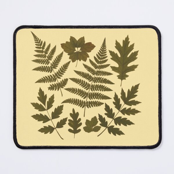 Item preview, Pressed Fern and Leaf Botanical Set designed and sold by Teenidesign .