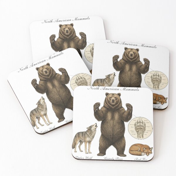 Item preview, North American Mammals Illustration | Timber Wolf, Red Fox, Bear Animal Design designed and sold by PacificNWGearCo.