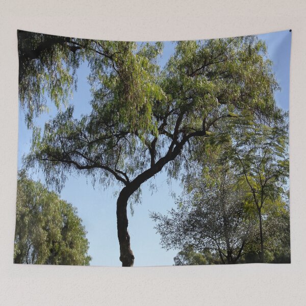 Item preview, Dancing Tree designed and sold by heatherfriedman.
