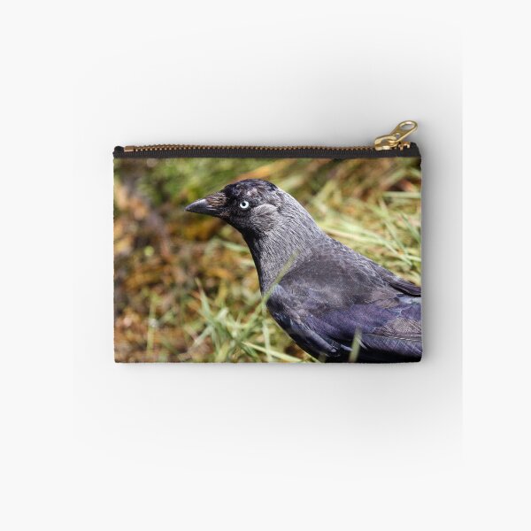 Item preview, Balding Jackdaw designed and sold by GreyFeatherPhot.