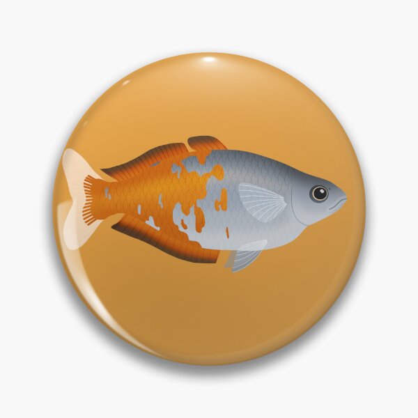 Item preview, Parkinsoni Rainbowfish (Melanotaenia parkinsoni) designed and sold by ShinsShui.